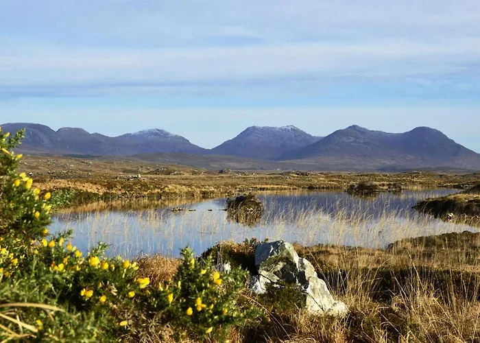 454 - * 라운드스톤